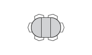 Expression Table TBRRE-0081